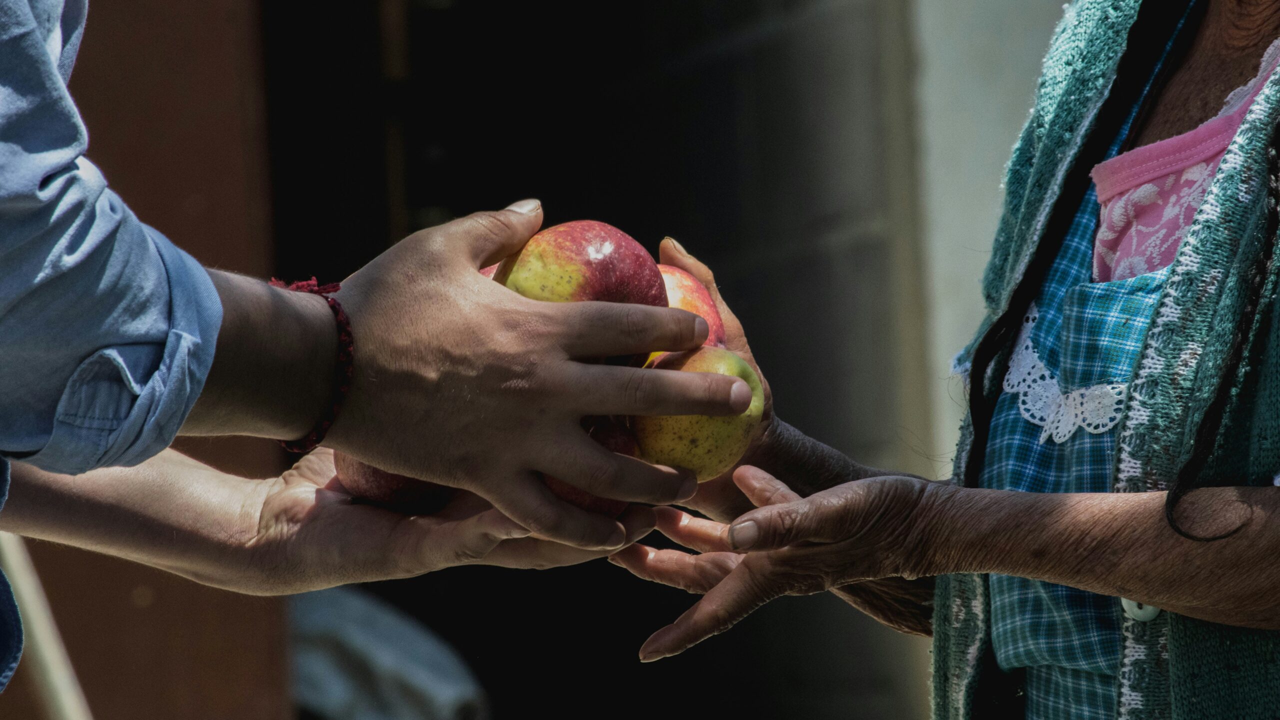 alejandra ezquerro tydgoqk72ia unsplash